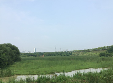 JDB电子(中国区)·官方网站