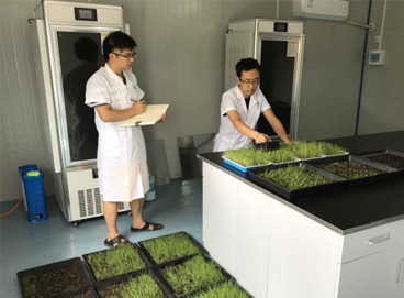 JDB电子(中国区)·官方网站