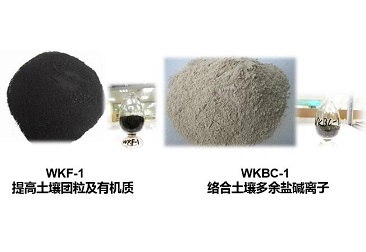 JDB电子(中国区)·官方网站