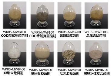 JDB电子(中国区)·官方网站