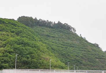 JDB电子(中国区)·官方网站